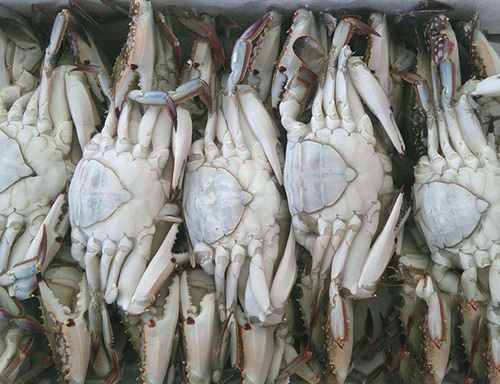 南通瑞祥冷藏科技有限公司